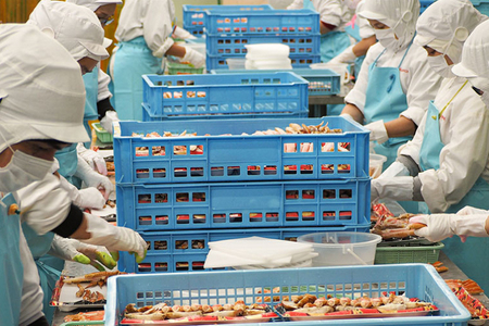 ボイル ずわいがに 爪 400g かに かに爪 _AP027