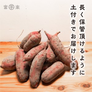 さつまいも 熟成 紅はるか 芋 10kg _CE005