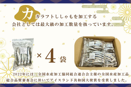 子持カラフトししゃも 2kg （ 500g × 4袋 ） 子持ち カラフトししゃも シシャモ 大洗 魚 魚介_AL014