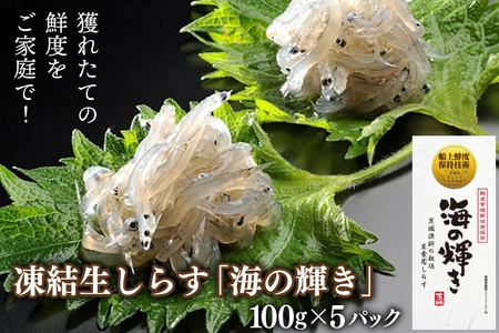 凍結生しらす「海の輝き」 100g 5パック 小分け シラス 冷凍 生しらす しらす_BQ005