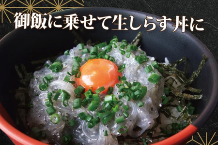 凍結生しらす「海の輝き」 100g 5パック 小分け シラス 冷凍 生しらす しらす_BQ005