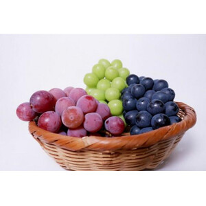 ぶどう おまかせ 5品種 食べ比べ シャインマスカット ピオーネ 巨峰 我が道 ゴルビー＜2026年8月より順次発送予定＞ (県内共通返礼品:かすみがうら市産) 先行予約 ぶどう ブドウ 葡萄 フルーツ 茨城 新鮮 (BR077)