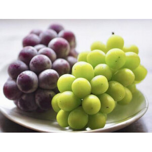 シャインマスカット と 巨峰 桐箱入り 2房 <2026年7月より順次発送予定> (県内共通返礼品:かすみがうら市産) 先行予約 ぶどう ブドウ 葡萄 フルーツ 茨城 新鮮 (BR079)