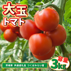 大玉トマト 3kg (茨城県共通返礼品:つくばみらい市産) (BR086)
