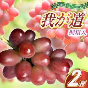 我が道 桐箱入り 2房 <2026年8月より順次発送予定> (県内共通返礼品:かすみがうら市産) 先行予約 ギフト 贈答 ぶどう ブドウ 葡萄 フルーツ 茨城 新鮮 (BR098)