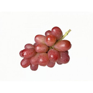 我が道 桐箱入り 1房 ＜2026年9月より順次発送予定＞ (県内共通返礼品:かすみがうら市産) 先行予約 ギフト 贈答 ぶどう ブドウ 葡萄 フルーツ 茨城 新鮮 (BR099)