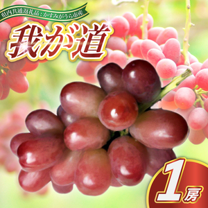 我が道 1房 ＜2026年9月より順次発送予定＞ (県内共通返礼品:かすみがうら市産) 先行予約 ギフト 贈答 ぶどう ブドウ 葡萄 フルーツ 茨城 新鮮 (BR102)