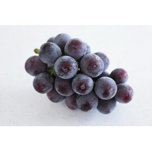 【お中元 熨斗付】 シャインマスカット と 巨峰 桐箱入り 2房 ＜2026年8月より順次発送＞ (県内共通返礼品:かすみがうら市産) 先行予約 ギフト 贈答 ぶどう ブドウ 葡萄 フルーツ 茨城 新鮮 (BR104)