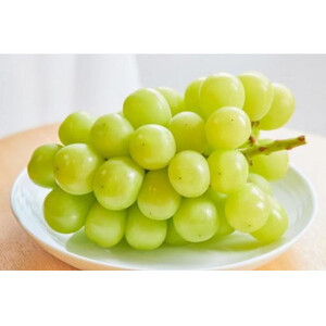 【お中元 熨斗付】 シャインマスカット 4房 ＜2026年8月より順次発送予定＞ (県内共通返礼品:かすみがうら市産) 先行予約 ギフト 贈答 ぶどう ブドウ 葡萄 フルーツ 茨城 新鮮 (BR113)