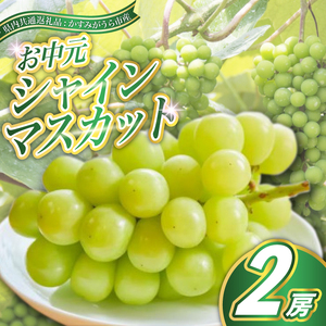 【お中元 熨斗付】 シャインマスカット 2房 ＜2026年8月より順次発送予定＞ (県内共通返礼品:かすみがうら市産) 先行予約 ギフト 贈答 ぶどう ブドウ 葡萄 フルーツ 茨城 新鮮 (BR114)