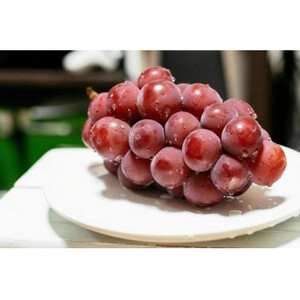 ゴルビー 桐箱入り 2房 ＜2026年9月より順次発送予定＞ (県内共通返礼品:かすみがうら市産) 先行予約 ぶどう ブドウ 葡萄 フルーツ 茨城 新鮮 (BR115)