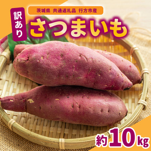 訳ありさつまいも 10kg (茨城県共通返礼品:行方市産) (BR148)