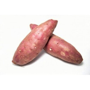 訳ありさつまいも 10kg (茨城県共通返礼品:行方市産) (BR148)