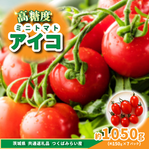 高糖度ミニトマト　アイコ 約150g×7pc (茨城県共通返礼品:つくばみらい市産) (BR173)