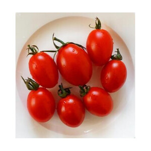 高糖度ミニトマト　アイコ 約150g×7pc (茨城県共通返礼品:つくばみらい市産) (BR173)