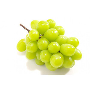 シャインマスカット 700g × 2房 ＜2026年8月より順次発送＞ (県内共通返礼品:かすみがうら市産) 先行予約 ぶどう ブドウ 葡萄 フルーツ 茨城 新鮮 (BR180)