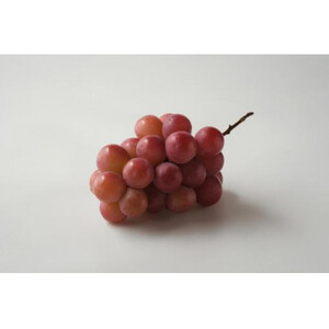 旬なぶどう おまかせ 食べ比べ 700g × 5房 ＜2026年8月より順次発送＞ (県内共通返礼品:かすみがうら市産) シャインマスカット 巨峰 ピオーネ ゴルビー クインニーナ 我が道 先行予約 ぶどう ブドウ 葡萄 フルーツ 茨城 新鮮 (BR186)