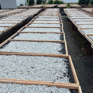 しらす干し 天日乾燥 800g(400g×2) (茨城県共通返礼品:北茨城市) (AY001)