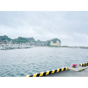 しらす干し 天日乾燥 800g(400g×2) (茨城県共通返礼品:北茨城市) (AY001)