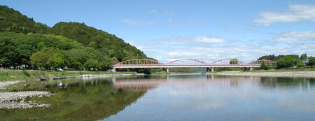 しらす干し 天日乾燥 800g(400g×2) (茨城県共通返礼品:北茨城市) (AY001)