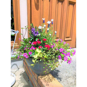 季節の寄せ植え＜花わたひき＞ (BY002)