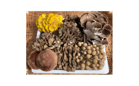 きのこの詰め合わせSサイズ(1000g) (AU004)