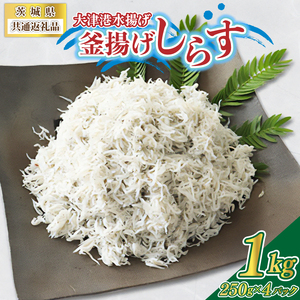 大津港水揚げの釜揚げしらす 1kg(250g×2パック×2箱) (茨城県共通返礼品:北茨城市) (BC009)