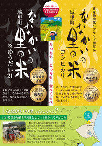 パック ご飯 食べ比べ セット (150g)×12食入り お米 米 コシヒカリ ゆうだい21 ライスパック パックごはん ご飯 食べ比べ【配送不可地域：離島】 (BV001)