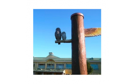 ホロルの湯 招待券 5枚 (BG003)