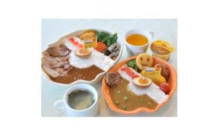 ホロルの湯　個人会員券(大人) (BG011)