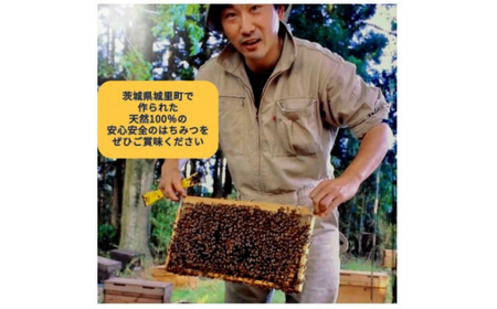 長島さんのはちみつ 百花蜜とアカシア蜜　各250g (BG015)