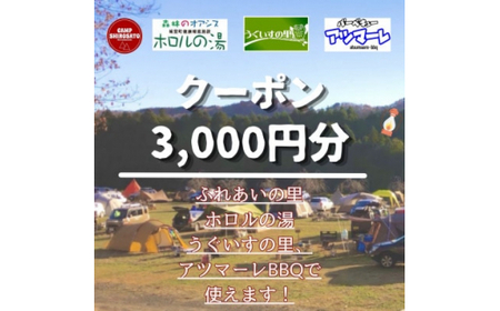＜城里町ホロルの湯、ふれあいの里、うぐいすの里、アツマーレBBQで使えるクーポン券＞3,000円分 (BF019)