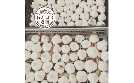 わんぱく農園の黒にんにく (BT001)