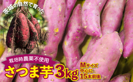 さつまいも　紅はるか　栽培期間中農薬不使用栽培　3kg (BJ008)