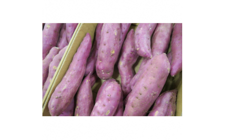 さつまいも　紅はるか　栽培期間中農薬不使用栽培　3kg (BJ008)