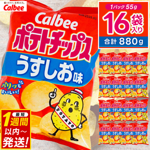 ポテトチップス カルビー うすしお味 55g×16袋 (BG026)