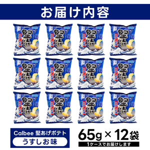 ポテトチップス 堅あげポテト うすしお味 カルビー 65g×12袋 (BG030)