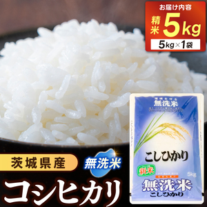 コシヒカリ 無洗米 5kg 令和7年産 ★関東地方限定配送★ スピード出荷 最短3～7営業日出荷 精米 米 コメ こめ 単一米 限定 国産 美味しい お米 おこめ おコメ 茨城県 城里町産  (AX015)