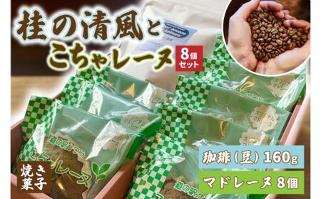 珈琲豆とこちゃレーヌ8個【桂の清風】(AF109)