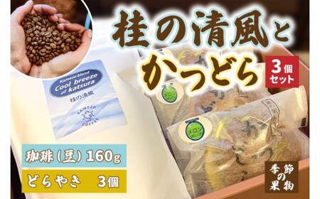 珈琲とかつどら3個セット【桂の清風(豆)/季節の果物】(AF094)