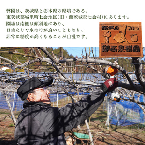 ＜農家直送＞梨 茨城県オリジナルブランド品種 恵水 大玉サイズ4～6個(約3kg) 先行予約 2026年発送 完熟 フルーツ 果物 産地直送 糖度 高い 梨 茨城  人気 (BB004)