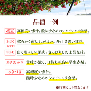 【先行予約】旬の品種を厳選！梨 品種 おまかせ 4～6個 （ 約3kg ） 2026年先行予約 農家直送 恵水 王秋 あきあかり あきづき りんか 完熟 フルーツ 果物 産地直送 糖度 高い 梨 茨城 人気 （BB008）