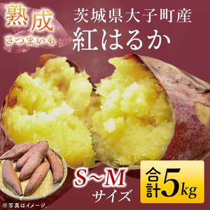 【先行予約】【10月中旬より順次発送予定】熟成さつまいも 紅はるか 5kg｜茨城県 大子町 サツマイモ べにはるか 芋 甘い ホクホク 野菜 数量限定 5キロ 旬（CH001）
