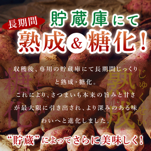 【先行予約】【10月中旬より順次発送予定】熟成さつまいも 紅はるか 5kg｜茨城県 大子町 サツマイモ べにはるか 芋 甘い ホクホク 野菜 数量限定 5キロ 旬（CH001）
