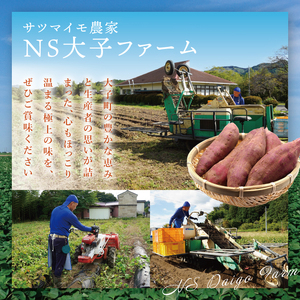 【先行予約】【10月中旬より順次発送予定】熟成さつまいも 紅はるか 5kg｜茨城県 大子町 サツマイモ べにはるか 芋 甘い ホクホク 野菜 数量限定 5キロ 旬（CH001）