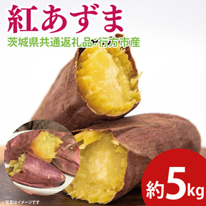 【先行予約】紅あずま 約5kg（茨城県共通返礼品：行方市産）※2025年10月上旬～2026年3月下旬頃に順次発送予定（CD084）