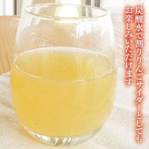 【三村観光りんご園】樹上完熟 奥久慈りんごジュース 200ml×5本セット（BX003）