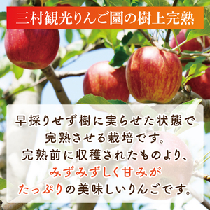 【三村観光りんご園】樹上完熟 奥久慈りんごジュース 200ml×5本セット（BX003）