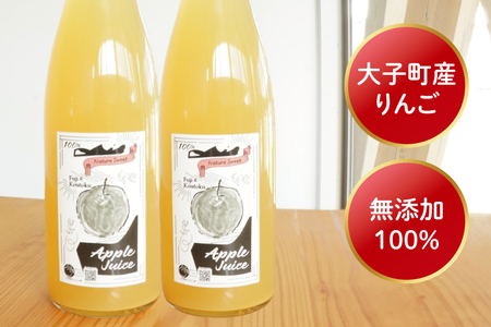 【三村観光りんご園】樹上完熟 奥久慈りんごジュース 720ml×2本セット（BX004）