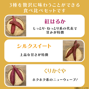 【先行予約】【10月中旬より順次発送予定】熟成さつまいも 3種食べ比べセット 合計5kg 詰め合わせ（紅はるか・シルクスイート・くりかがや） ｜ 茨城県 大子町 サツマイモ べにはるか 焼き芋 ホクホク 野菜 数量限定 ねっとり しっとり(CH002)